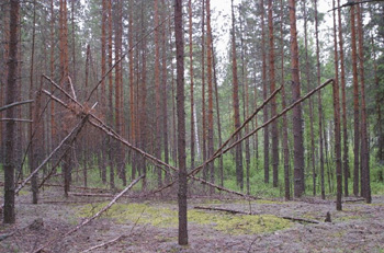 Structure allegedly built by Bigfoot in Fokin, Russia