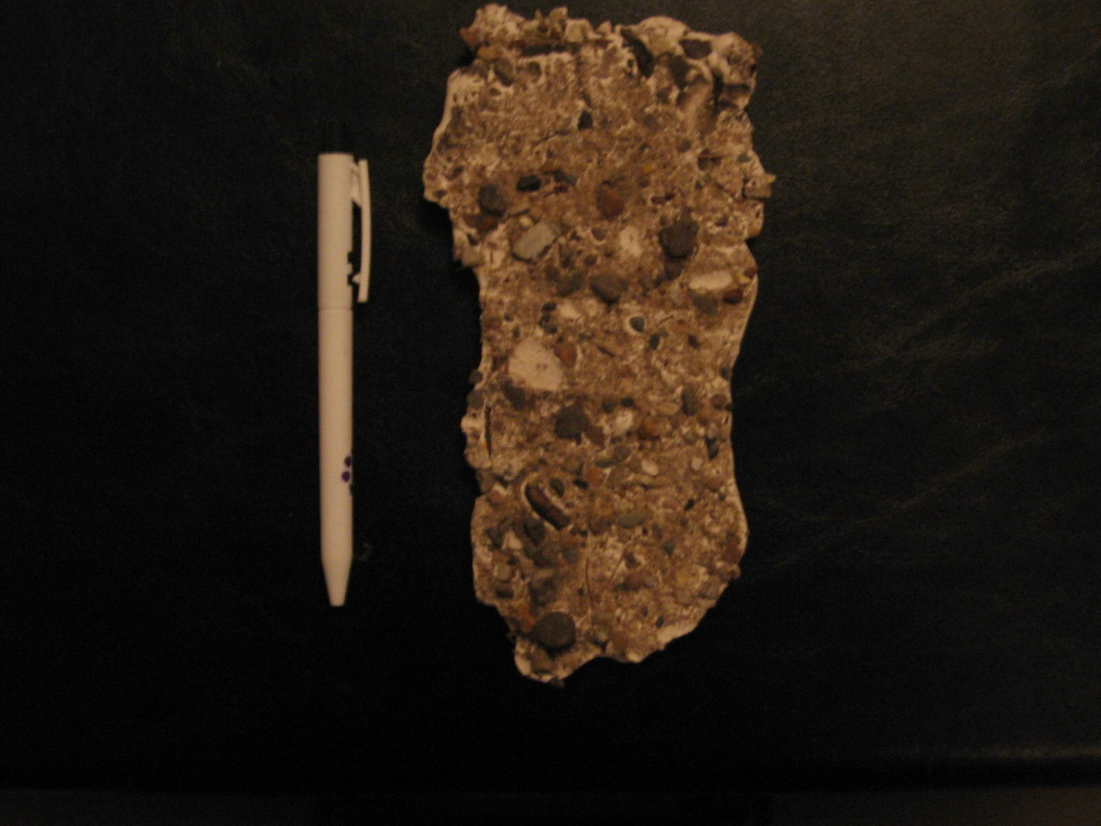 Photo of Bigfoot Plaster Cast