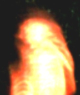 Alien and UFO Research: Possible Alien Photographed