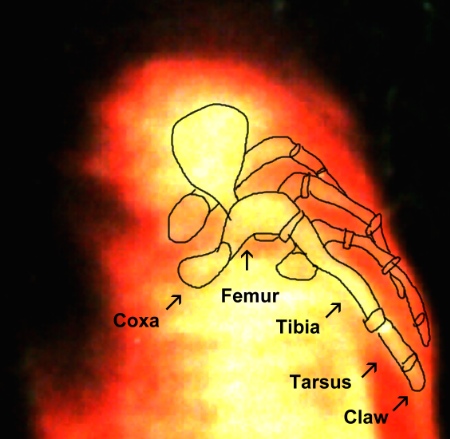 Alien and UFO Research